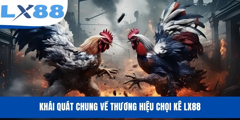 Khái quát chung về thương hiệu chọi kê LX88